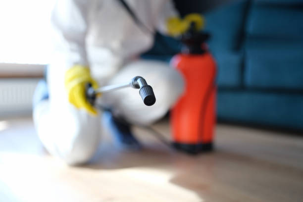 Mold Remediation for Rental Properties in Pocola, OK